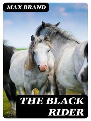 cover image of The Black Rider